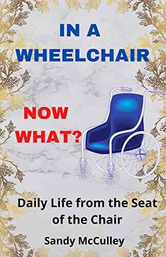 IN A WHEELCHAIR NOW WHAT?: Daily Life From The Seat Of The Chair