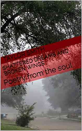Shattered Dreams And Broken Wings: Poetry From The Soul