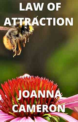 LAW OF ATTRACTION (Spirituality Ebook Shorts)