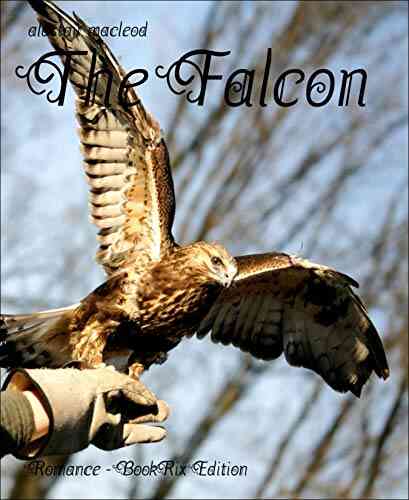 The Falcon Terry O Reilly