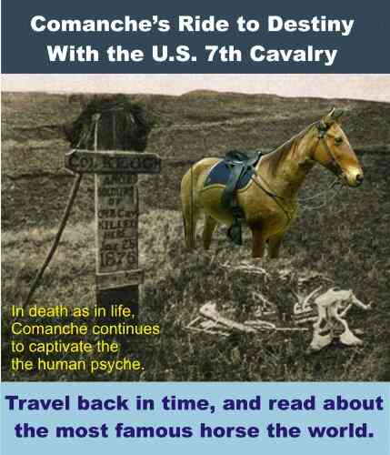 Comanche S Ride To Destiny With The U S Seventh Cavalry
