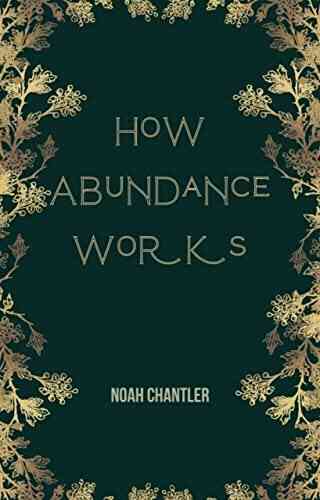 How Abundance Works Dan Starr