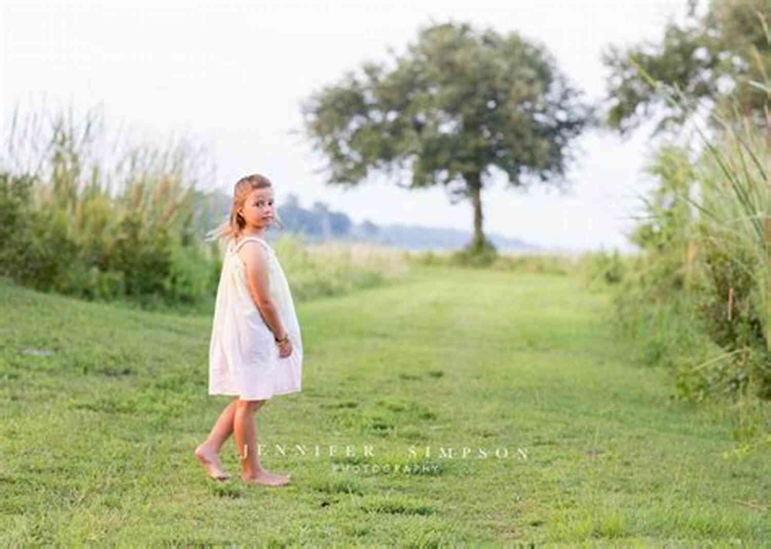 A Breathtaking Landscape In Earth Children Five The Shelters Of Stone (with Bonus Content): Earth S Children Five