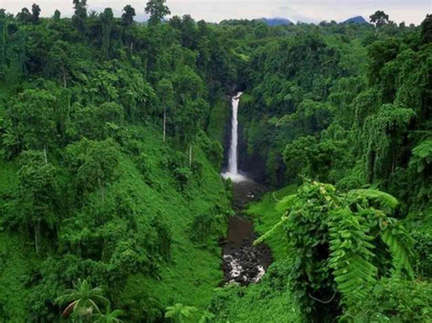 A Breathtaking View Of Majestic Hollow Laurel Veil, Surrounded By Lush Green Forests And Glistening Waterfalls Majestic Hollow Laurel Veil