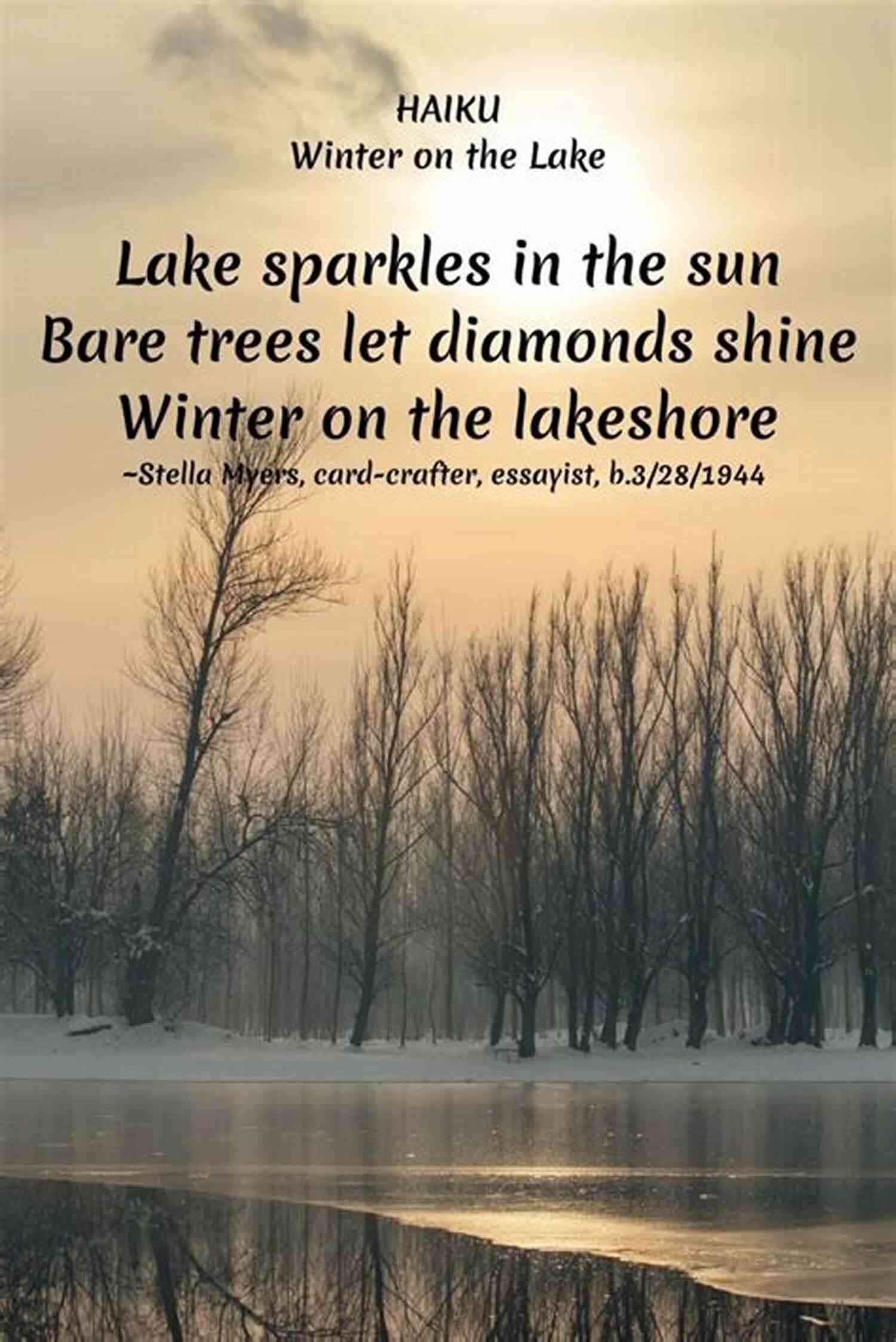 A Tree Adorned With Haikus, Gleaming Under A Winter Sunset Winter Land S: Haiku Rob G