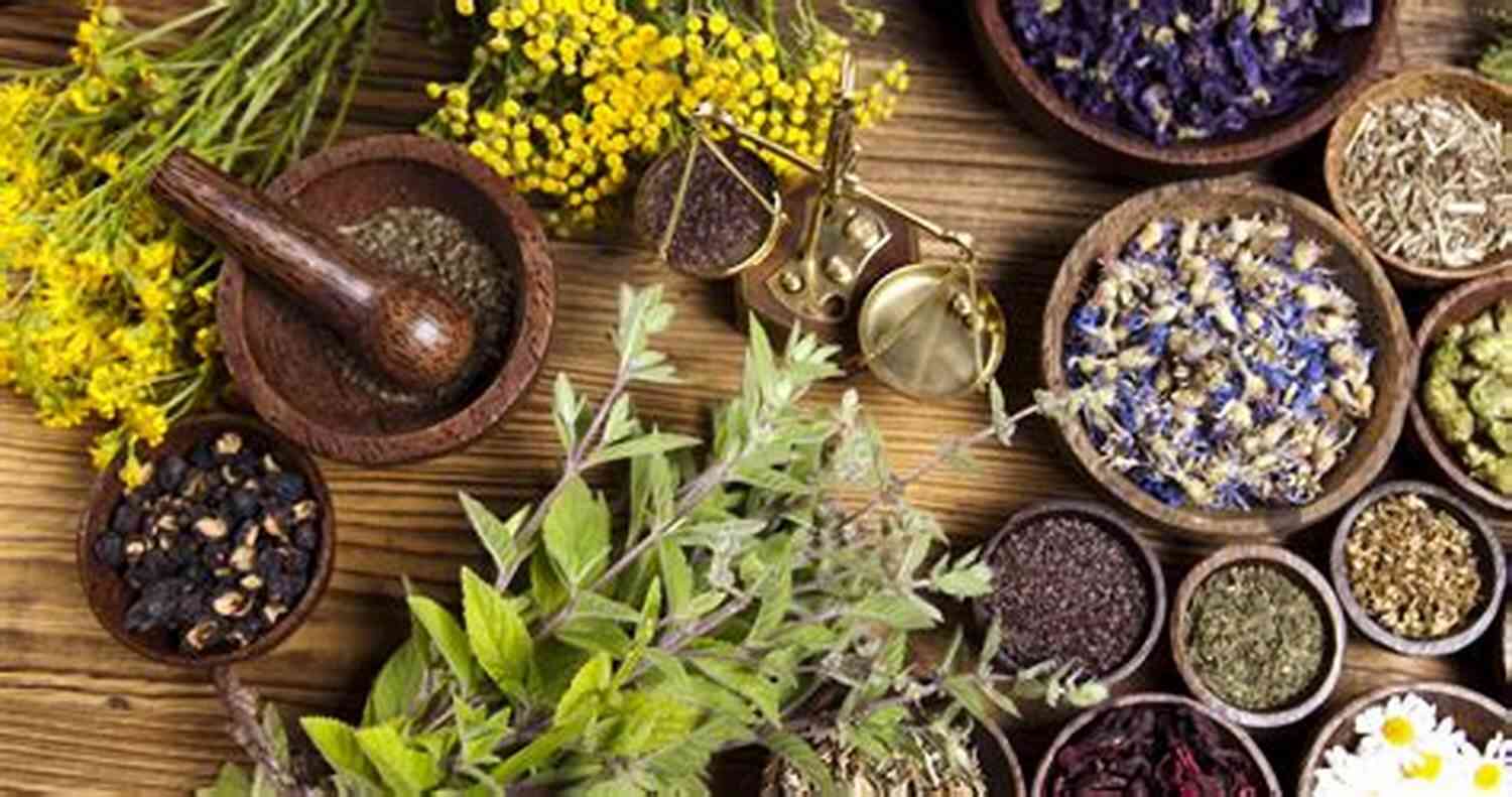 Ancient Native American Remedies With Herbs And Medicinal Plants Herbalist S Guide To Native American Remedies: From Medicinal Plants And Herbs To Ancient And Modern Herbal Remedies For Your Effective Home Apothecary Learning From Our Natural Environment)