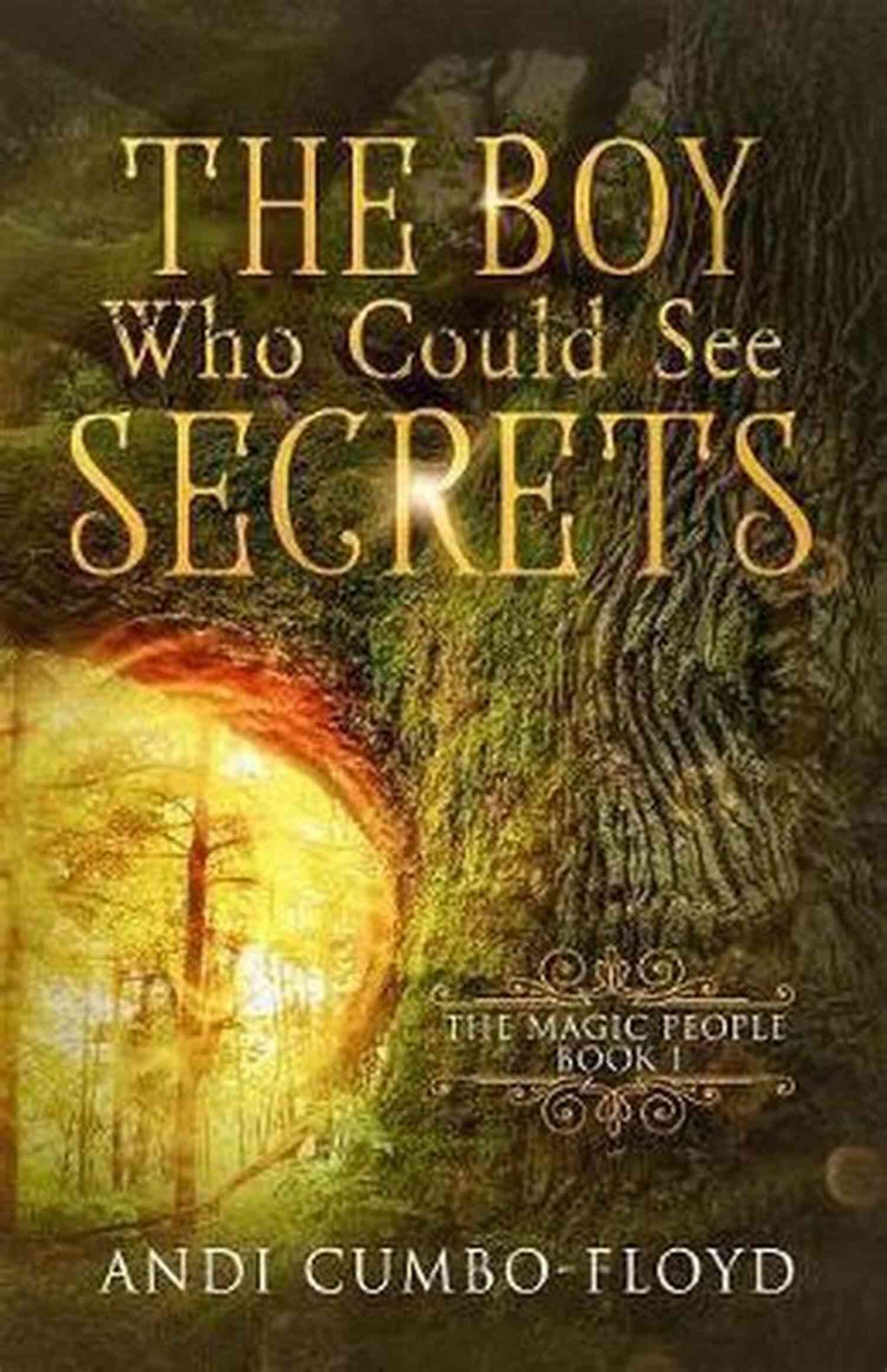 Boy Who Could See Secrets The Boy Who Could See Secrets (The Magic People 1)