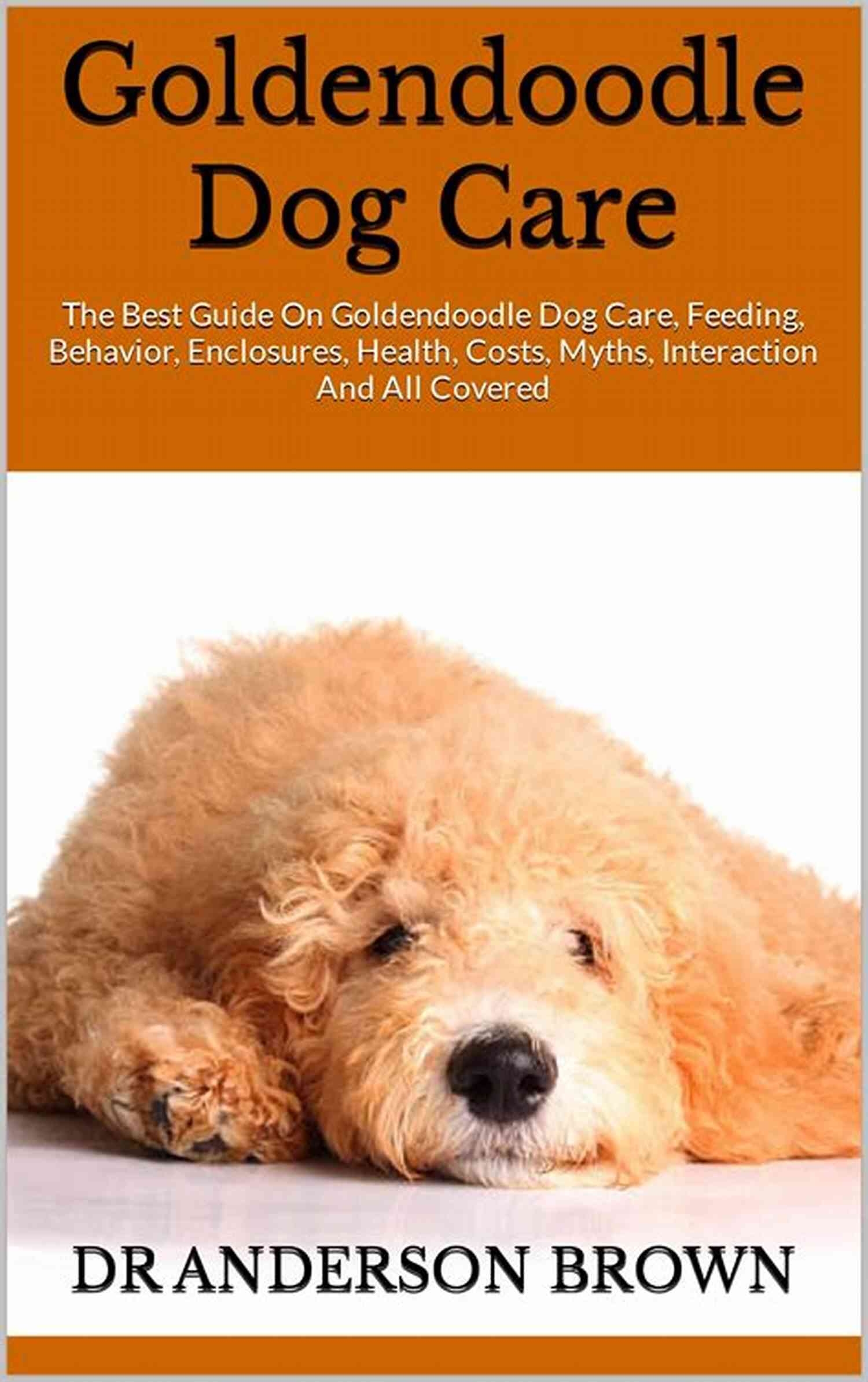 Cane Corso Playing Cane Corso Dog Handbook : The Best Guide On Cane Corso Dog Care Feeding Behavior Enclosures Health Costs Myths Interaction And All Covered