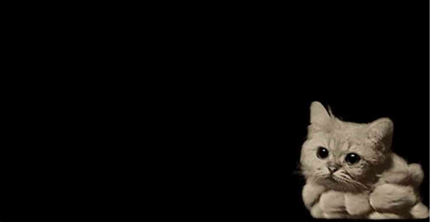 Cat Photography Exploding Kittens: A Field Guide To Unusual Cats (RP Minis)