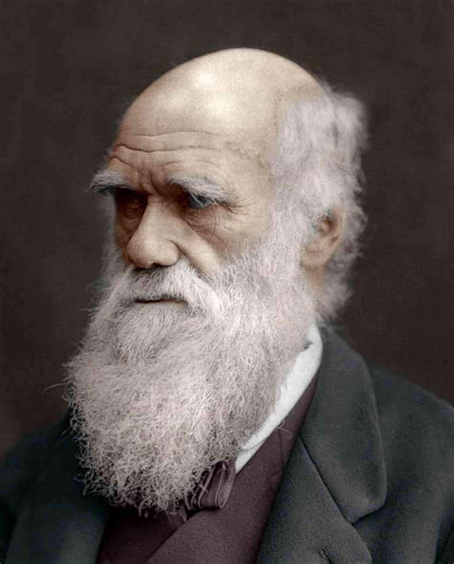 Charles Darwin The Father Of Evolution On The Origin Of Species(Annotated)
