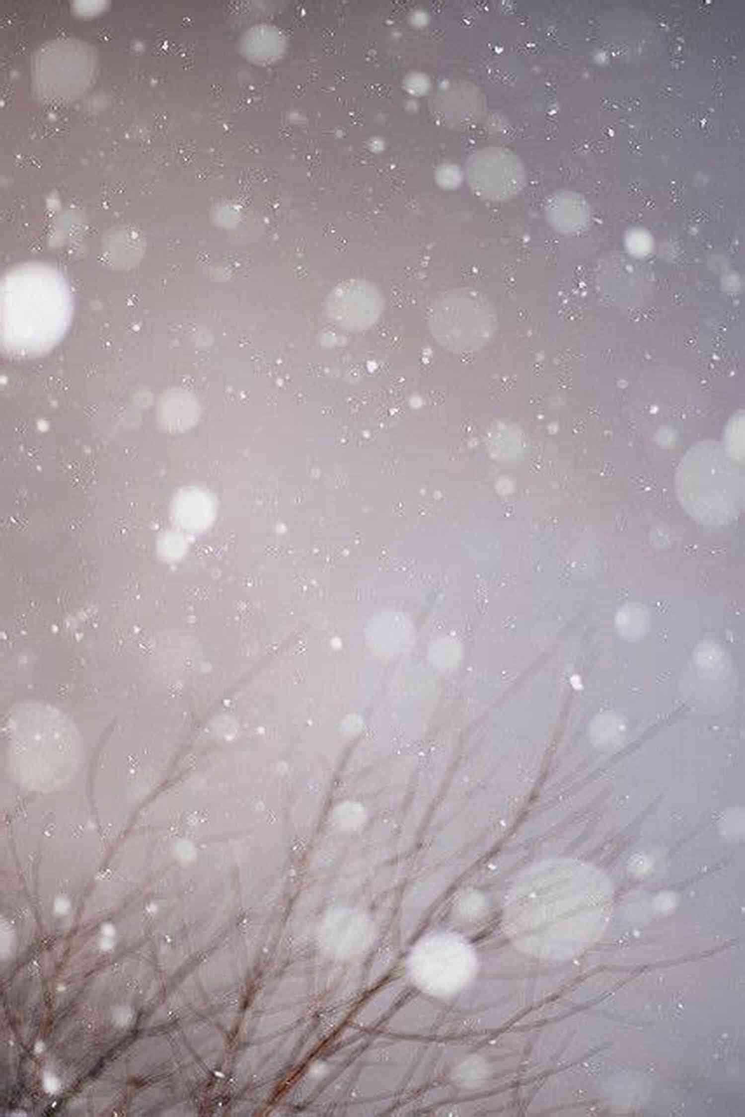Gently Falling Snowflakes Peaceful Winter : Haiku Mike Bartlett