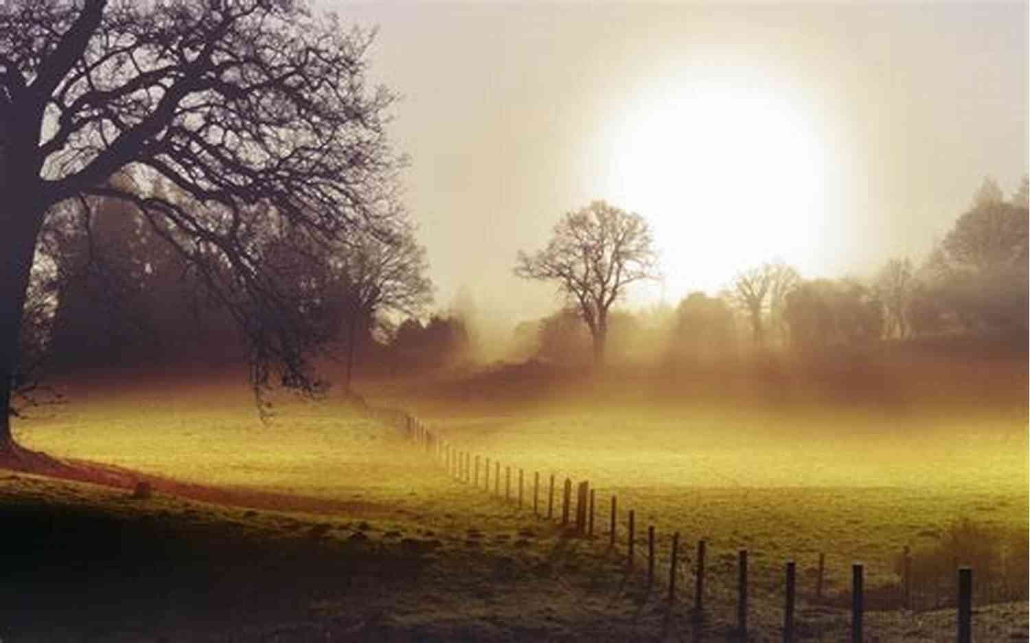 Image Description: A Foggy Morning Landscape Dear October: Poems Mary Morris
