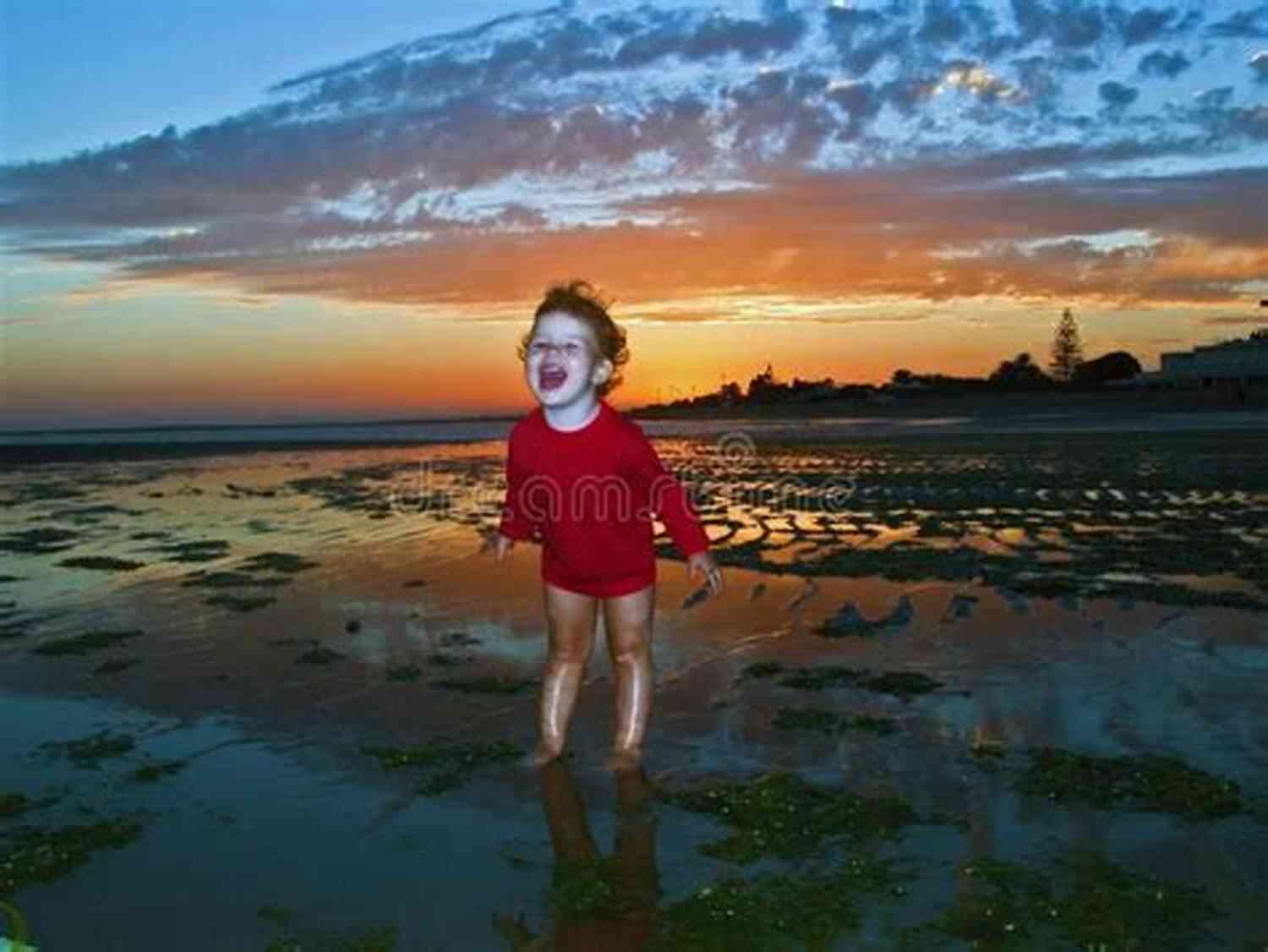 Long Descriptive Keyword For The Alt Attribute: Girl Screaming At The Sunset On A Hill To Hear A Girl Scream: A Memoir Of Dreams And Insights In The 21st Century