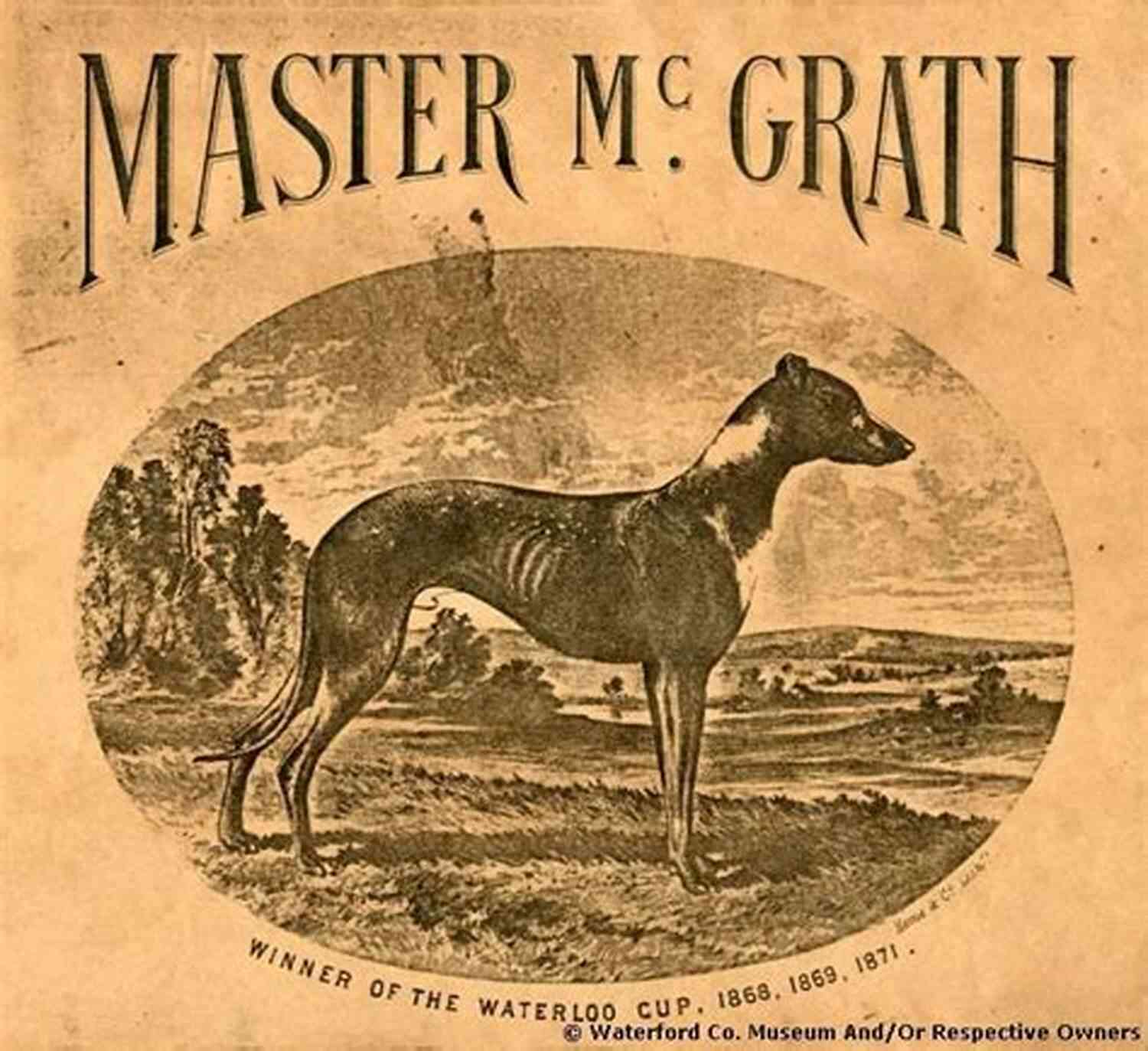 Master McGrath Winner Of The Waterloo Cup. A Graceful Greyhound With Unmatched Speed And Skills The Ghost Of Master McGrath : Master McGrath 3 Time Winner Of The Waterloo Cup
