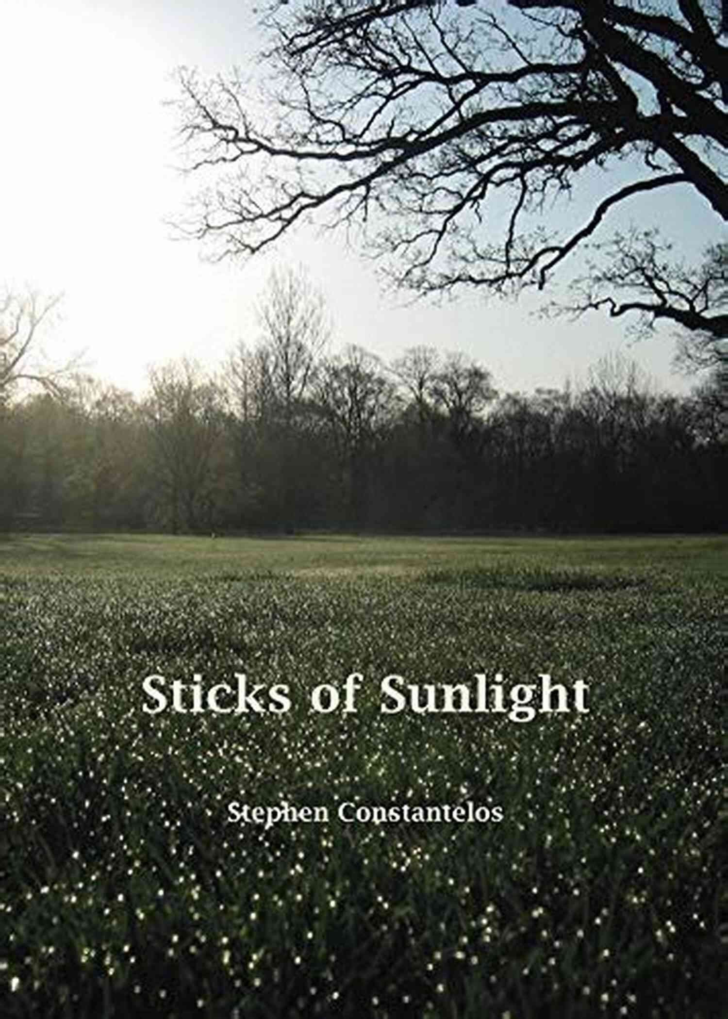 Poems Wisps And Songs From Slowed Down Time Sticks Of Sunlight: Poems Wisps And Songs From A Slowed Down Time