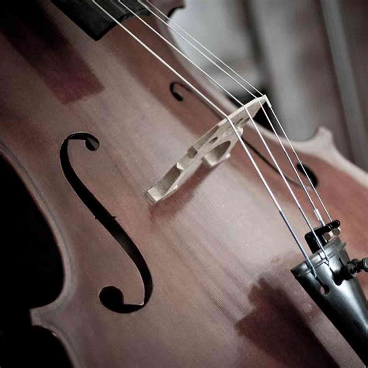 Seasons Of Love Quartet Creating A Captivating Atmosphere During Their Autumn Performance Autumn Chill (Seasons Of Love Quartet 4)