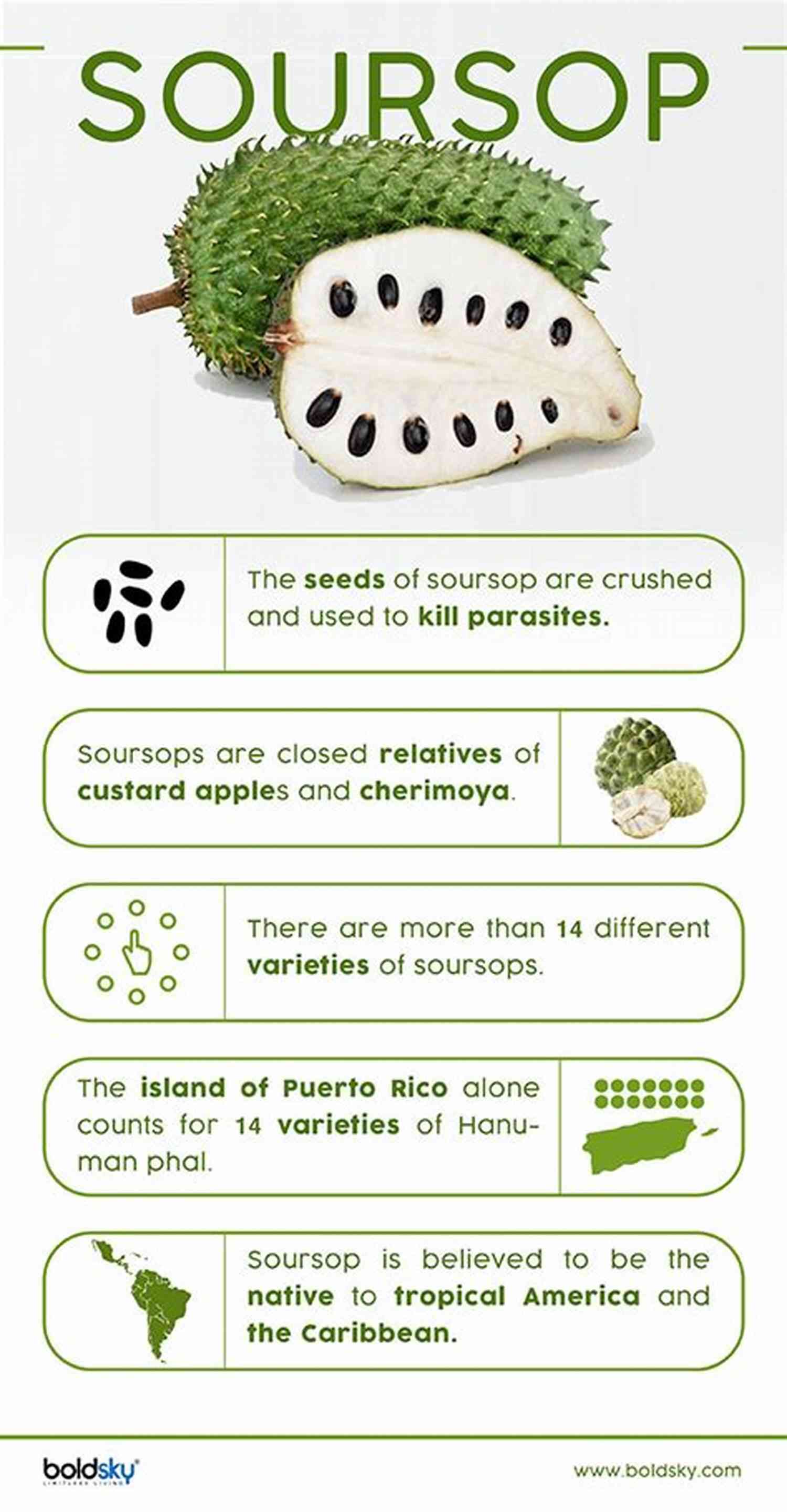 Soursop Fruit Enhancing Skin Health HEALTH BENEFIT OF SOURSUP: Did You Know Soursop Is 1000 Times More Effective Than Chemotherapy?