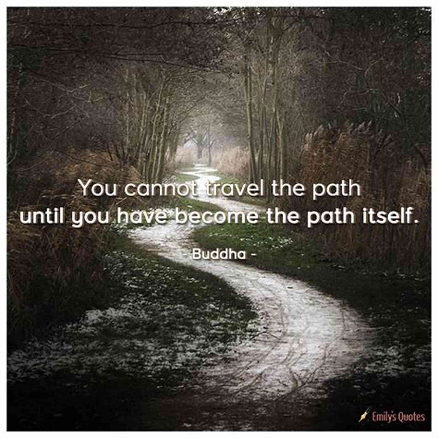 The Lighthouse: The Inspirational Path Traversed By Christopher Parker The Lighthouse Christopher Parker
