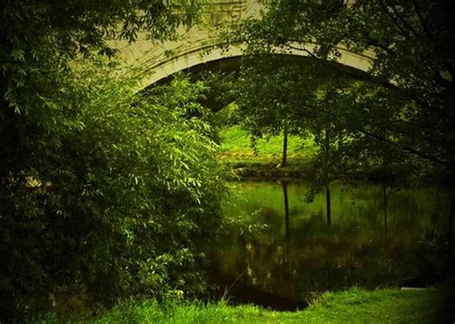 Under The Oak Tree Season A Journey Into Enchanting Tales A Scenic Landscape Under The Oak Tree: Season 1 (1)